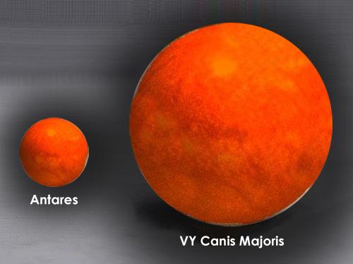 Antares diante de VY Canis Majoris em escala Fonte: Cosmocrítica