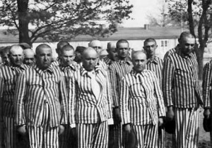 AuschwitzWorkers
